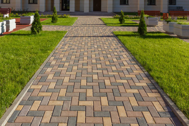 Best Local Driveway Pavers  in Waelder, TX